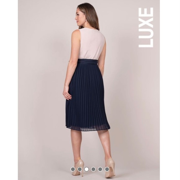 Seraphine Pleated Maternity/Nursing Dress - Picture 3 of 15